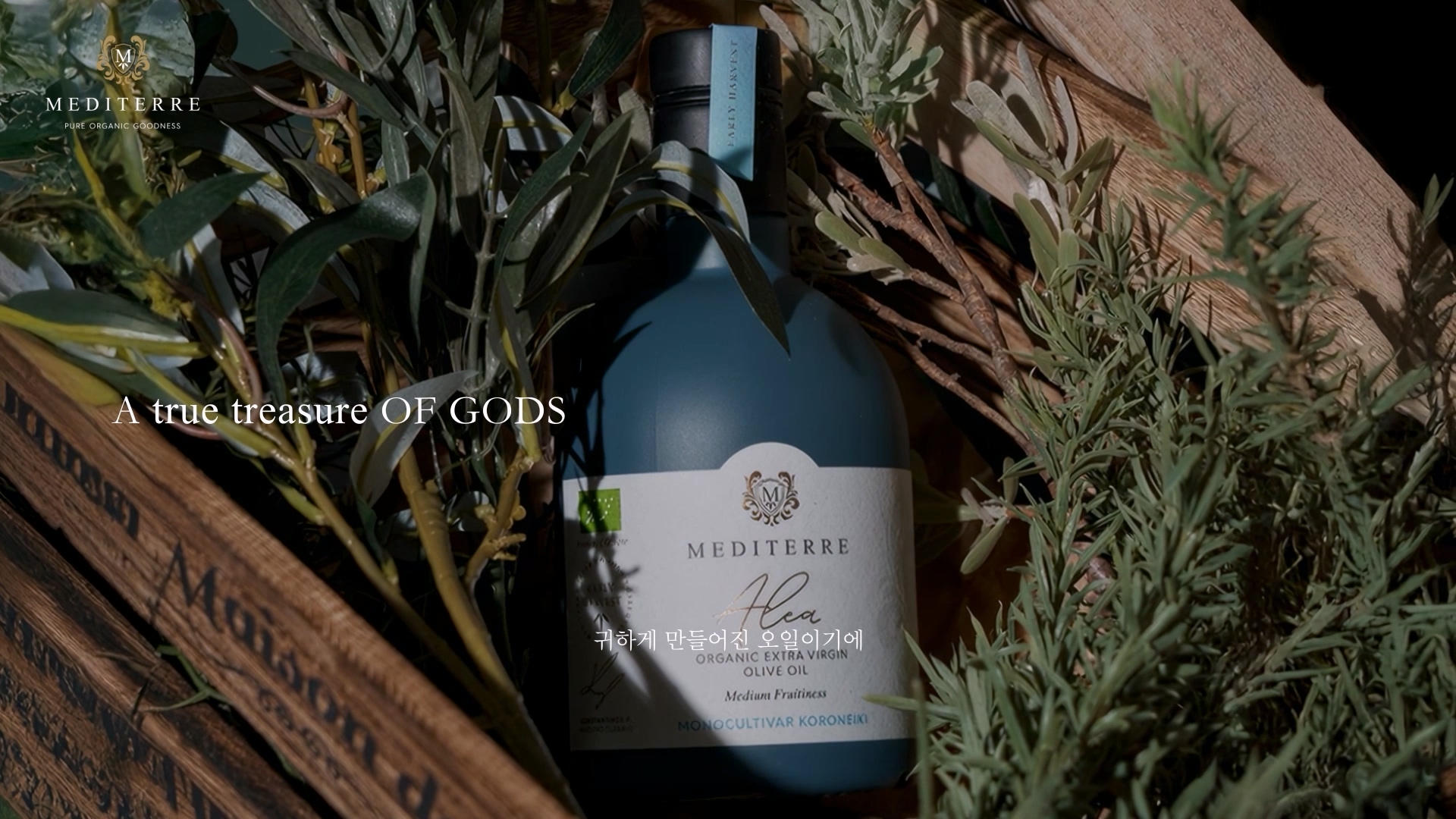 메디테레 유기농 올리브오일 브랜드스토리 광고영상